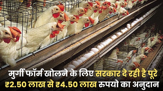Poultry Farming Loan