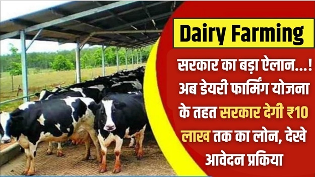 Apply Dairy Farm Loan