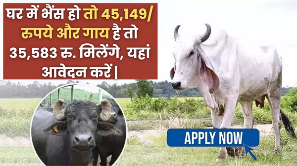 Animal Husbandry 2025