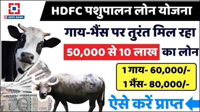 Animal Subsidy Loan 2025